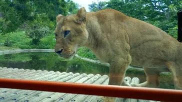 多摩動物公園に投稿された画像（2026/5/11）