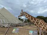 伊豆シャボテン動物公園に投稿された画像（2026/5/11）