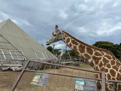 伊豆シャボテン動物公園に投稿された画像（2026/5/11）