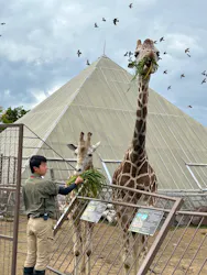 伊豆シャボテン動物公園に投稿された画像（2026/5/11）