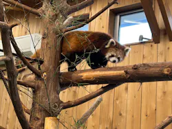 伊豆シャボテン動物公園に投稿された画像（2026/5/11）