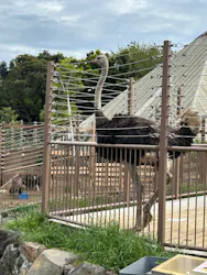 伊豆シャボテン動物公園に投稿された画像（2026/5/11）