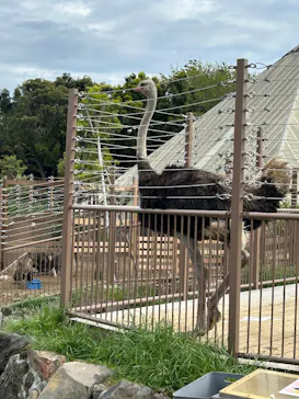 伊豆シャボテン動物公園に投稿された画像（2026/5/11）