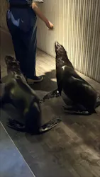 すみだ水族館に投稿された画像（2026/5/11）