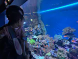 サンシャイン水族館に投稿された画像（2026/5/11）