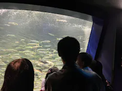 サンシャイン水族館に投稿された画像（2026/5/11）