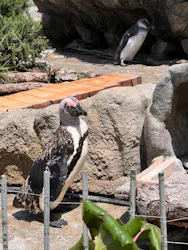 サンシャイン水族館に投稿された画像（2026/5/11）