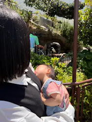 サンシャイン水族館に投稿された画像（2026/5/11）