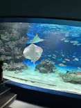 サンシャイン水族館に投稿された画像（2026/5/11）