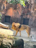 天王寺動物園に投稿された画像（2026/5/11）