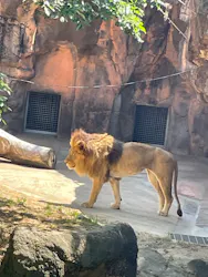 天王寺動物園に投稿された画像（2026/5/11）