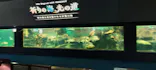 ゼロ距離水族館 伊勢シーパラダイスに投稿された画像（2026/5/11）