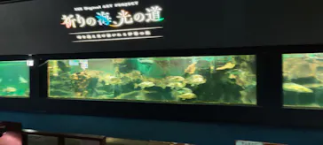 ゼロ距離水族館 伊勢シーパラダイスに投稿された画像（2026/5/11）