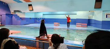 ゼロ距離水族館 伊勢シーパラダイスに投稿された画像（2026/5/11）