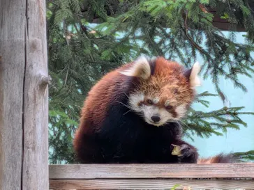 千葉市動物公園に投稿された画像（2026/5/11）