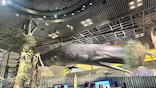 国立科学博物館に投稿された画像（2026/5/12）