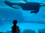 名古屋港水族館に投稿された画像（2026/5/12）