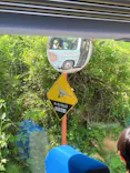 福井県立恐竜博物館に投稿された画像（2026/5/12）