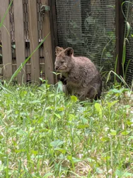 こども動物自然公園（埼玉県公園緑地協会）に投稿された画像（2026/5/11）