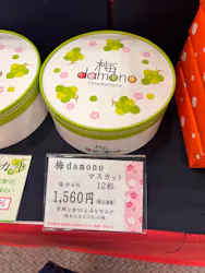 第50回 2026 日本ホビーショーに投稿された画像（2026/5/12）