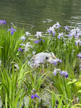名古屋市東山動植物園に投稿された画像（2026/5/12）