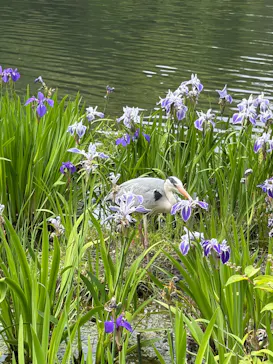 名古屋市東山動植物園に投稿された画像（2026/5/12）