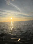 オリオン石垣島エコツアーに投稿された画像（2026/5/12）