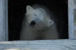 天王寺動物園に投稿された画像（2026/5/12）