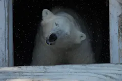 天王寺動物園に投稿された画像（2026/5/12）