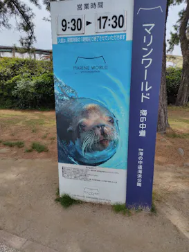 マリンワールド海の中道に投稿された画像（2026/5/12）