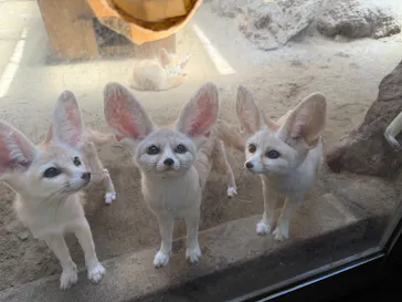 伊豆シャボテン動物公園に投稿された画像（2026/5/12）