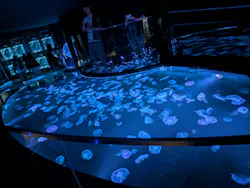 すみだ水族館に投稿された画像（2026/5/12）