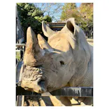 東武動物公園に投稿された画像（2026/5/12）