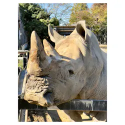 東武動物公園に投稿された画像（2026/5/12）