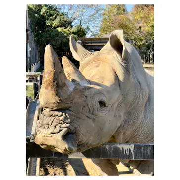 東武動物公園に投稿された画像（2026/5/12）
