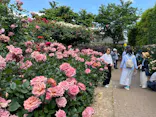 横浜イングリッシュガーデンに投稿された画像（2026/5/12）