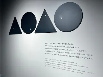 AOAO SAPPOROに投稿された画像（2026/5/12）