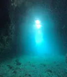 DIVING-SHOP SUNSに投稿された画像（2026/5/12）
