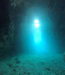 DIVING-SHOP SUNSに投稿された画像（2026/5/12）