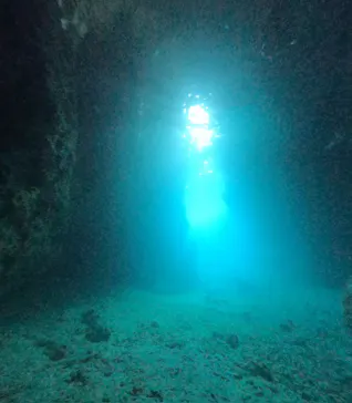 DIVING-SHOP SUNSに投稿された画像（2026/5/12）