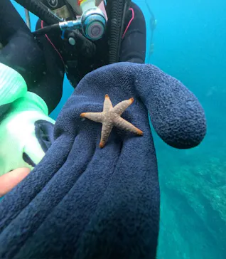 DIVING-SHOP SUNSに投稿された画像（2026/5/12）