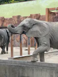 東武動物公園に投稿された画像（2026/5/12）