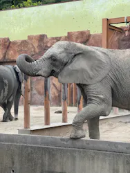 東武動物公園に投稿された画像（2026/5/12）