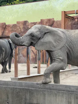 東武動物公園に投稿された画像（2026/5/12）