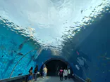 横浜・八景島シーパラダイスに投稿された画像（2026/5/12）