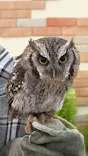 掛川花鳥園に投稿された画像（2026/5/12）