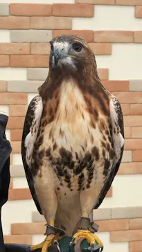 掛川花鳥園に投稿された画像（2026/5/12）