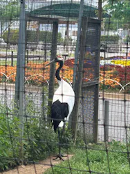 東武動物公園に投稿された画像（2026/5/12）