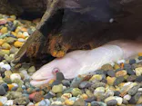 竹島水族館に投稿された画像（2026/5/12）