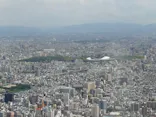 ハルカス300(展望台)に投稿された画像（2026/5/12）